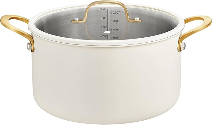 BEZIA 10 Quart Stainless Steel Stock Pot, Large Soup Pot, Casserole with Lid, Stockpot with Visible Lid, Silicone Edging, Sturdy & Double Handle, Induction Cooking Pot for Pasta, Soup, Spaghetti