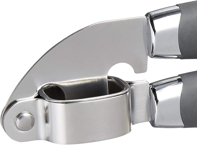 Tovolo Garlic Press Stainless Steel Mincer and Crusher Squeeze Silicone Comfort Grip, Dishwasher Safe, Removable Chamber for Easy Clean, One Charcoal