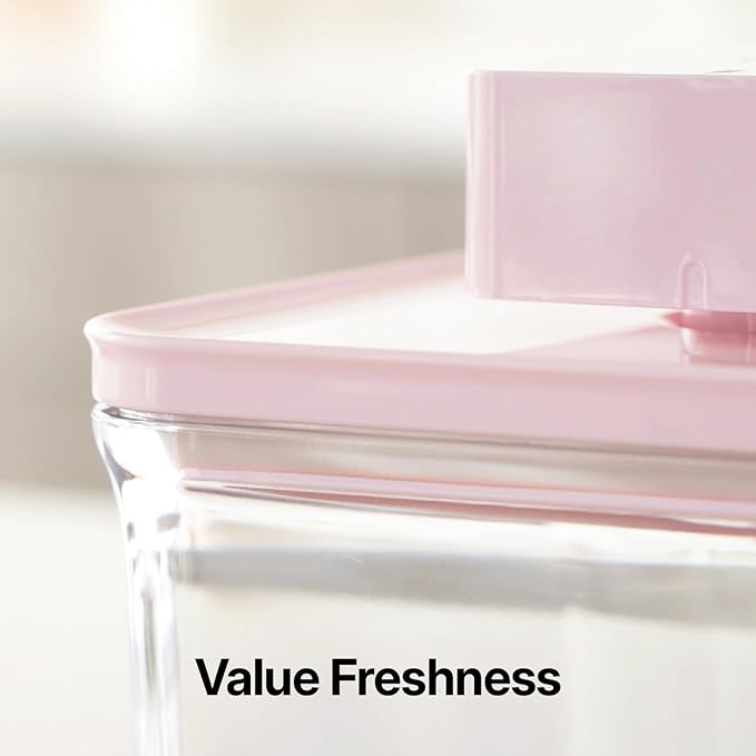 VAKUEN Premium Airtight Food Storage Containers ROSE 0.53qt(0.5L) x2pcs, Patented Double Silicone Lining, 100% Leak Proof, BPA-FREE