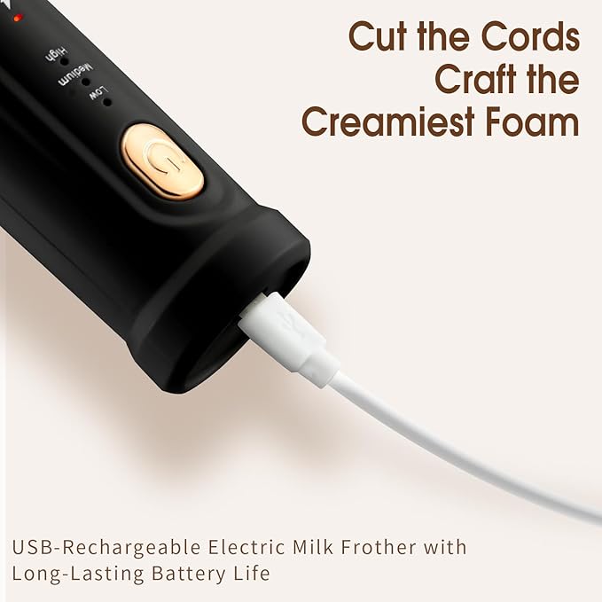 DSP Milk Frother Handheld Rechargeable, Frother for Coffee, Drink Mixer with 3 Speeds 10200RPM, Kitchen Powerful Frother Wand, Suitable for Stirring Eggs, Milk, Juice, Milk Powder (Jet Black)