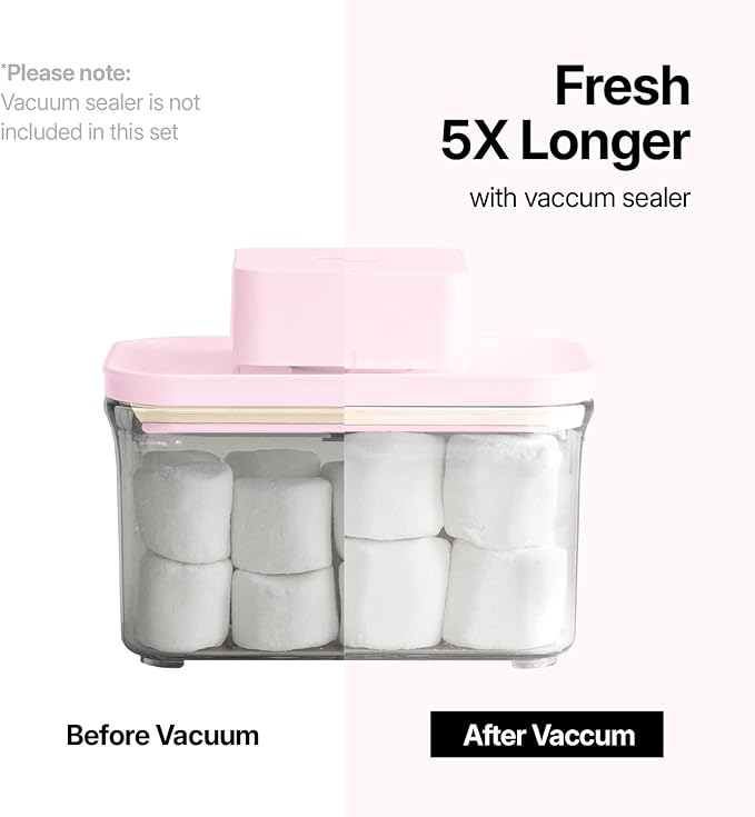 VAKUEN Premium Airtight Food Storage Containers ROSE Pink Lid, 1.0L(1.06qt) x2pcs Container. Patented Double Silicone Lining, 100% Leak Proof, BPA-FREE