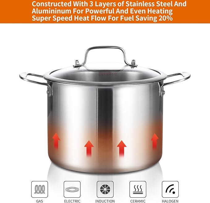 DELARLO Tri-Ply Stainless Steel 8 Quart Stock Pot, Heavy-Duty, All Stove Compatible, Up to 600℉ Soup Pot with Lid, 18/10 Induction Big Stockpot with Lids, Large Stainless Steel Induction for Cooking
