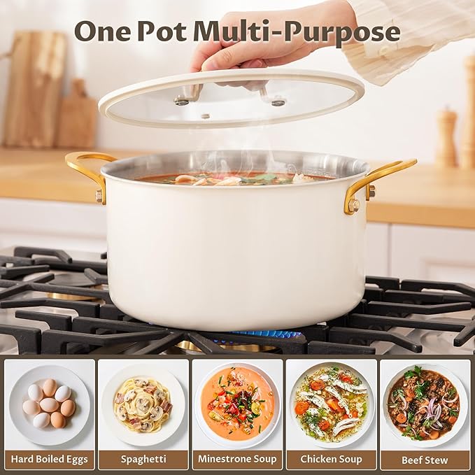 BEZIA 10 Quart Stainless Steel Stock Pot, Large Soup Pot, Casserole with Lid, Stockpot with Visible Lid, Silicone Edging, Sturdy & Double Handle, Induction Cooking Pot for Pasta, Soup, Spaghetti