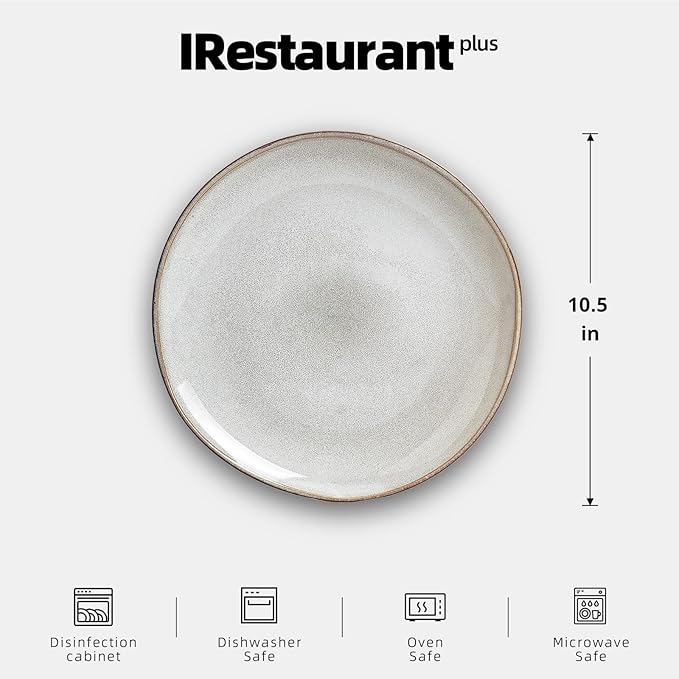 Organic Shape Restaurant Dinner Plates 10.5 ", Commerical Grade Catering Stoneware Plates in Ir-regular Organic Shape, Chip & Scratch Resistant, Glossy Reactive Glaze Grey, Case of 12