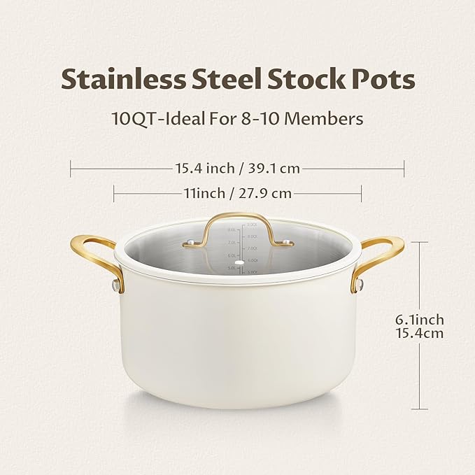 BEZIA 10 Quart Stainless Steel Stock Pot, Large Soup Pot, Casserole with Lid, Stockpot with Visible Lid, Silicone Edging, Sturdy & Double Handle, Induction Cooking Pot for Pasta, Soup, Spaghetti