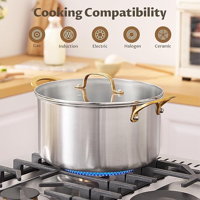 BEZIA Large 10 Quart Tri-Ply Stainless Steel Stock Pot, Nonstick Soup Pot With Lid, Sturdy & Double Handle, Induction Stockpot for All Stoves, Large Cooking Pot for Catering, Groups, Events, Silver