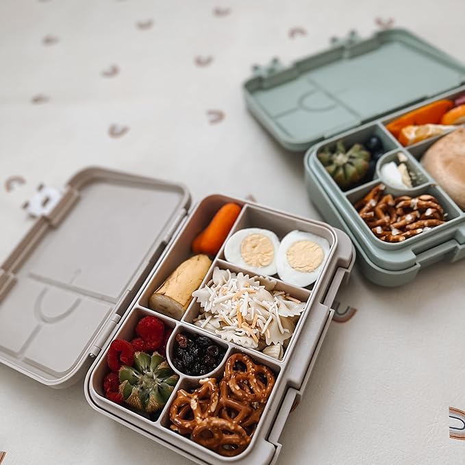nouka Grand Bento Box | Easy to open latches | Spill Proof Design | 6-Compartment Removable Tray | Moss