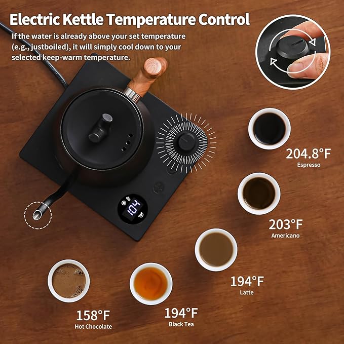 Water Kettle Electric,Gooseneck Electric Kettle with 50pcs Coffee Filter,±1℉ Temperature Control, Fast Heating, Stainless Steel Interior, Ideal for Precise Pour-Over Coffee and Tea