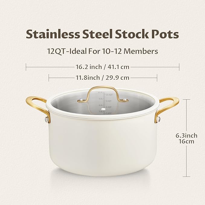 BEZIA Large Stainless Steel Stock Pot, 12 Quart Large Cooking Pot with Lid, Casserole with Lid, Even Heat Distribution, Induction Compatible Soup Pot, Ideal for Stews, Simmering & Soups