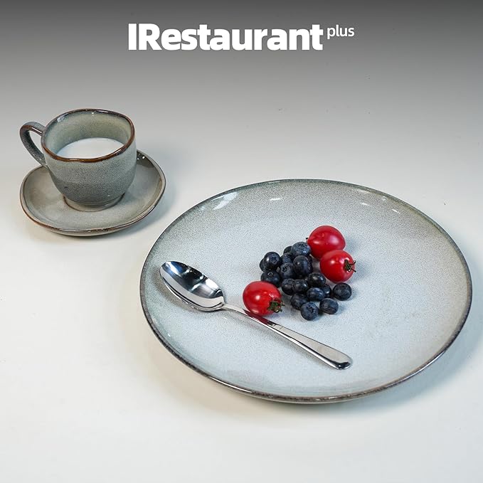 Organic Shape Restaurant Dinner Plates 10.5 ", Commerical Grade Catering Stoneware Plates in Ir-regular Organic Shape, Chip & Scratch Resistant, Glossy Reactive Glaze Grey, Case of 12