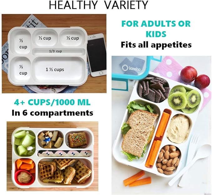 Bento-Box insulated Lunch Bag and Ice Pack Set. Lunch Boxes Snack Containers Kids Boys Girls Adults. 6 Compartments, Leakproof Portion Boxes Insulated Bags for School Lunches, BPA Free (Blue + Navy)