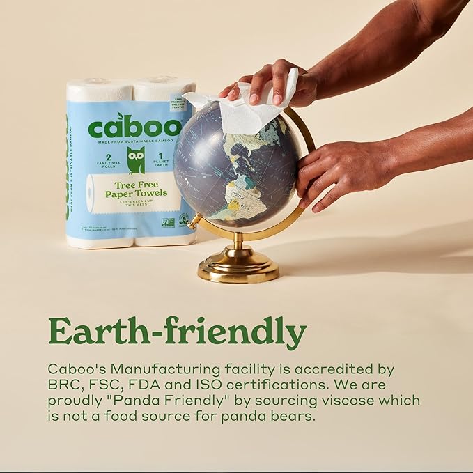 Caboo Tree Free Paper Towels, 8 Rolls, Earth Friendly Sustainable Kitchen Paper Towels with Strong 2 Ply