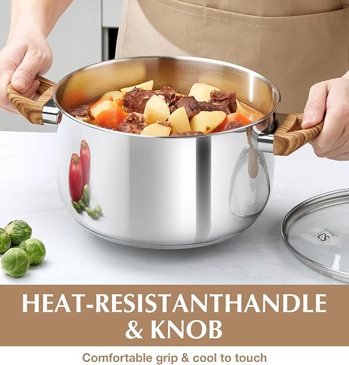 KOCH SYSTEME CS Stainless Steel Pot - 6 Quart Induction Stainless Steel Stock Pot with Lid for Pasta, Soup, Spaghetti, Steel Soup pots with Heat-Resistant Bakelite Double Handle, Dishwasher Safe