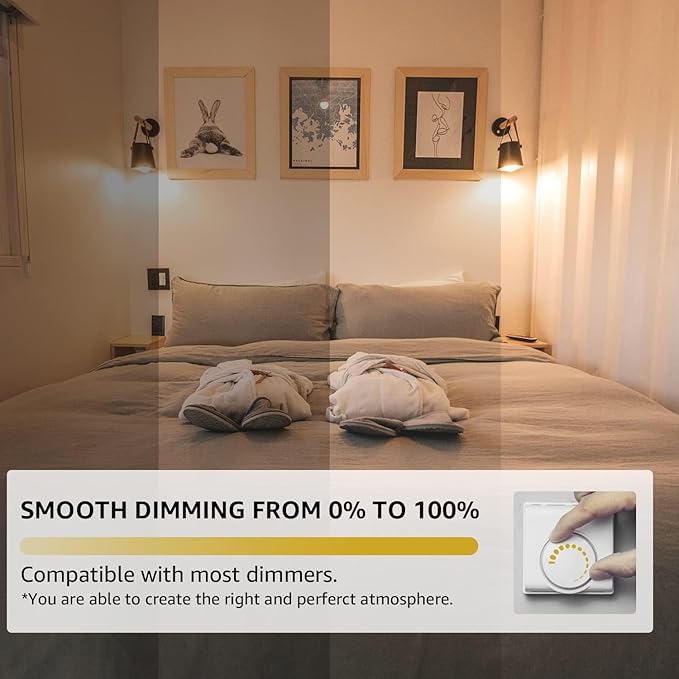 16 Pack ST19 Dimmable LED Edison Bulb, 5.5W (60W Equivalent), 500LM, CRI 95+, 2700K Soft White, E26 Medium Base, Vintage Filament, Clear Glass, Standard Type A Lamp, for Kitchen, Bathroom, Bedroom