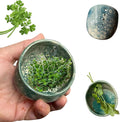 Pottery Herb Stripper, Herb Stripper Bowl Ceramic,Pottery Herbal Stripper, Handmade Pottery Different Round Hole Sizes for Peeling off the Leafy Assembly (A)