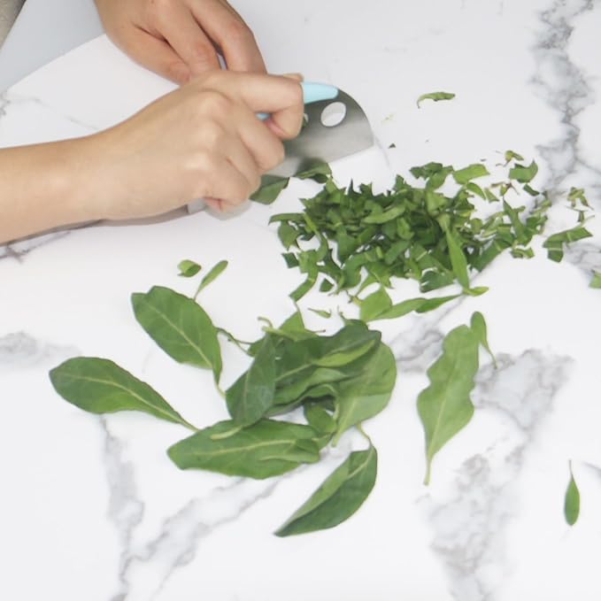 Herb Stripper and Herb Cutter 2 in 1,Herb Stripping Tool Herb Chopper Cilantro Chopper Best Kitchen Gadgets Presents for RV Owners Campers Chefs and Cooking Lovers,1PCS,Blue,Stainless Steel