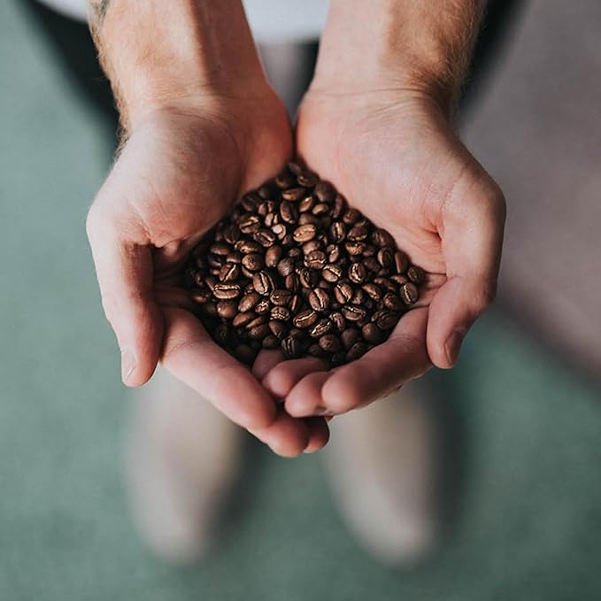 Coffee Bean Direct City Roast Colombian Supremo, Whole Bean Coffee, Medium Roast, 1 Pound Bag (Pack of 1)