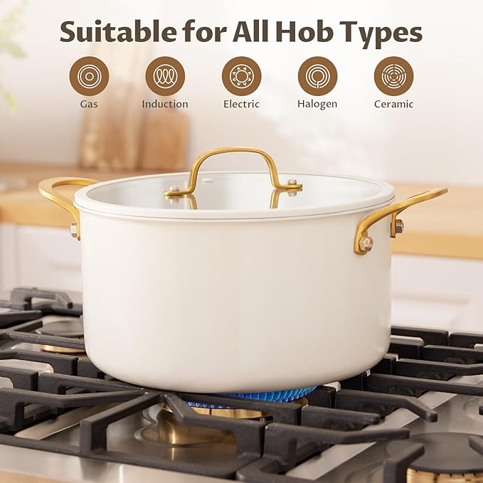 BEZIA Large Stainless Steel Stock Pot, 12 Quart Large Cooking Pot with Lid, Casserole with Lid, Even Heat Distribution, Induction Compatible Soup Pot, Ideal for Stews, Simmering & Soups