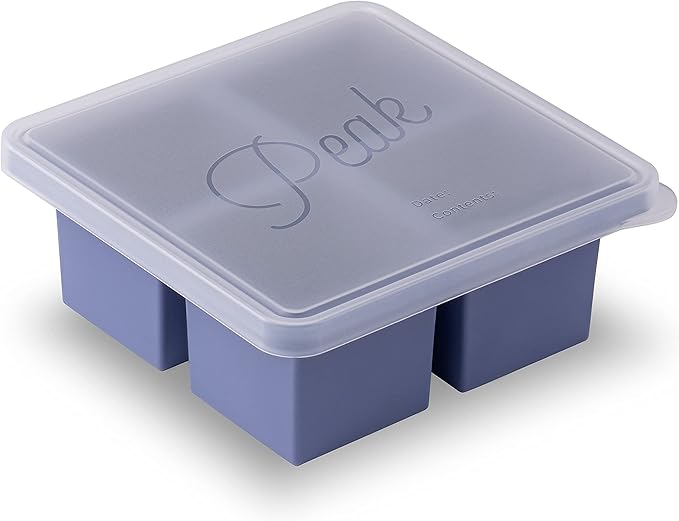 W&P Cup Cubes Silicone Freezer Tray with Lid, Blue, Makes 4 Perfect 1-Cup Portions, Freeze & Store Soup, Broth, Sauce, Leftovers, Dishwasher Safe, 4-Cup