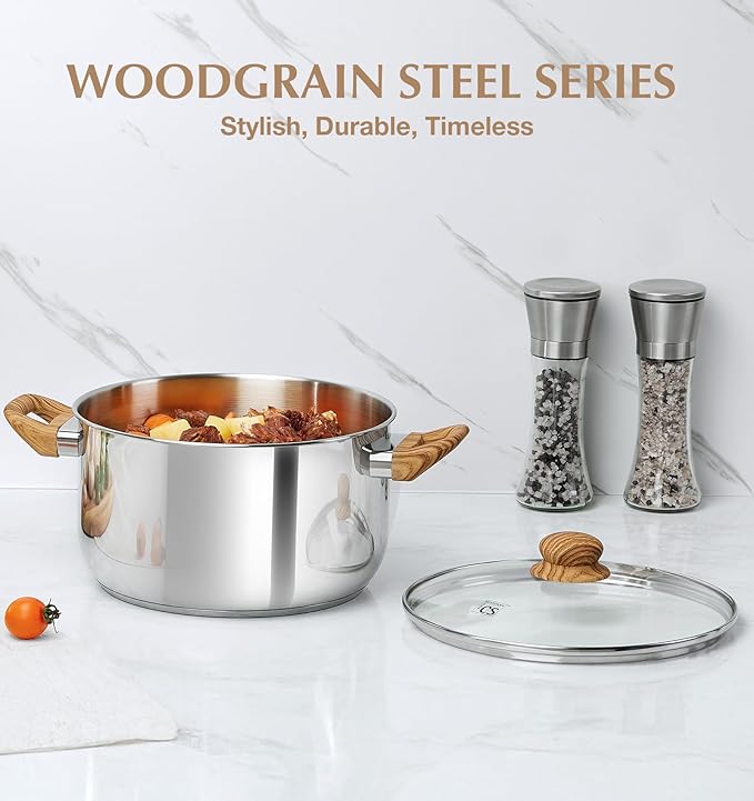 KOCH SYSTEME CS Stainless Steel Pot - 6 Quart Induction Stainless Steel Stock Pot with Lid for Pasta, Soup, Spaghetti, Steel Soup pots with Heat-Resistant Bakelite Double Handle, Dishwasher Safe