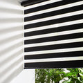 Persilux Cordless Zebra Blinds for Windows (36" W X 72" H, Black) Free-Stop Windows Shades Dual Layer Light Control for Day and Night, Light Filtering Sheer Shades for Home, Easy to Install