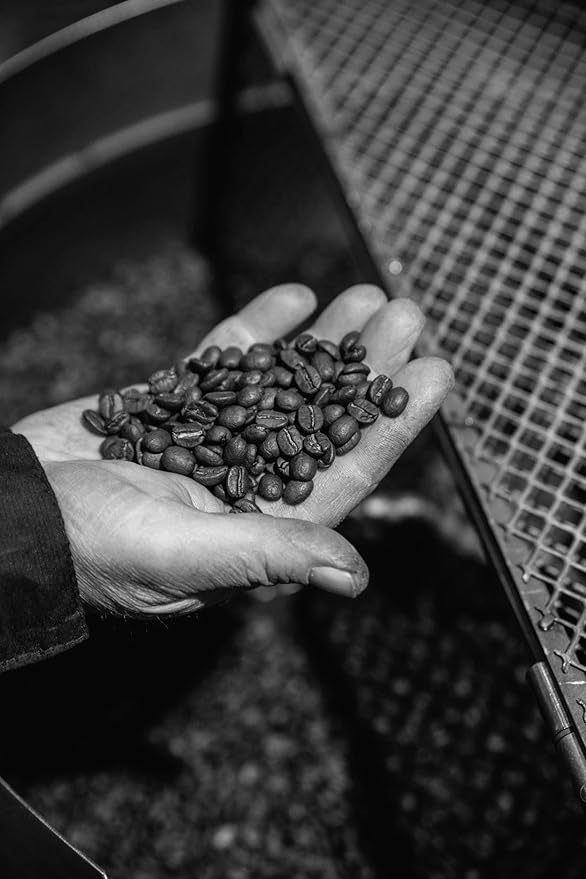 Bristot 100% Arabica Espresso Beans | Italian Espresso Beans | Medium Roast | 1.1lb/500g