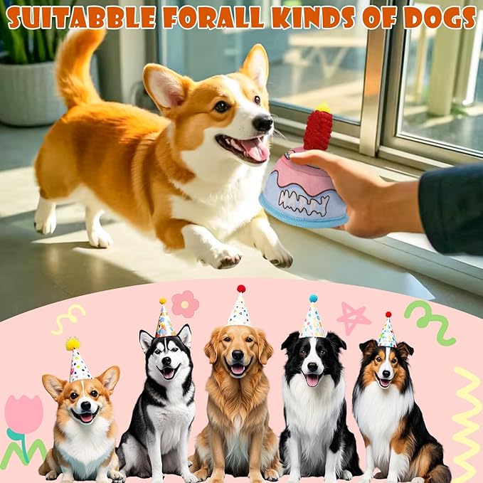 Dog Birthday Toy,No Stuffing Dog Toys for Puppy, Squeaky Plush Dog Toys for Large, Medium and Small Breeds, Balls Inside,Suitable Size Interactive Dog Toy for Indoor Outdoor Play