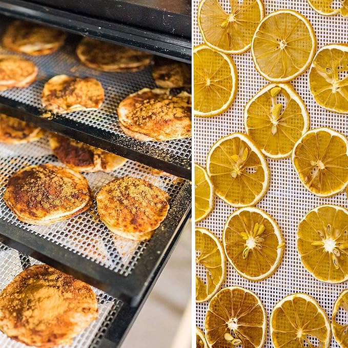 5 Pieces Square Silicone Dehydrator Sheets,15.7" x 15.7" Non-stick Fruit Dehydrator Mats,Reusable Steamer Mesh Mat Baking Mats for Fruit Dryer