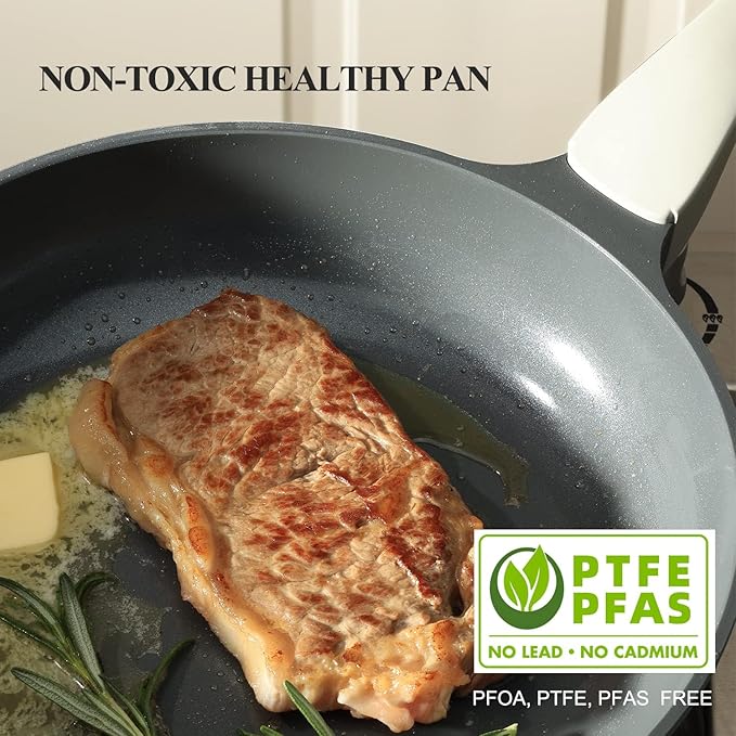PRICUSIS Nonstick Ceramic Frying Pan with Lid, Non Toxic Skillet, Healthy Egg & Omelet & Chef's Skillet, PTFE PFOA & PFAS Free, Induction Compatible. (10Inch W/L)