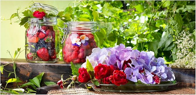 Bormioli Rocco Fido Clear Glass 5 Piece Canning Jar Set