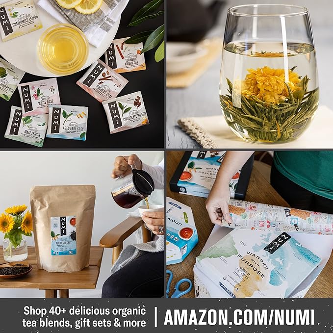Numi Organic Hojicha Tea, 16 Tea Bags (Pack of 3), Roasted Japanese Green Tea, Caffeinated