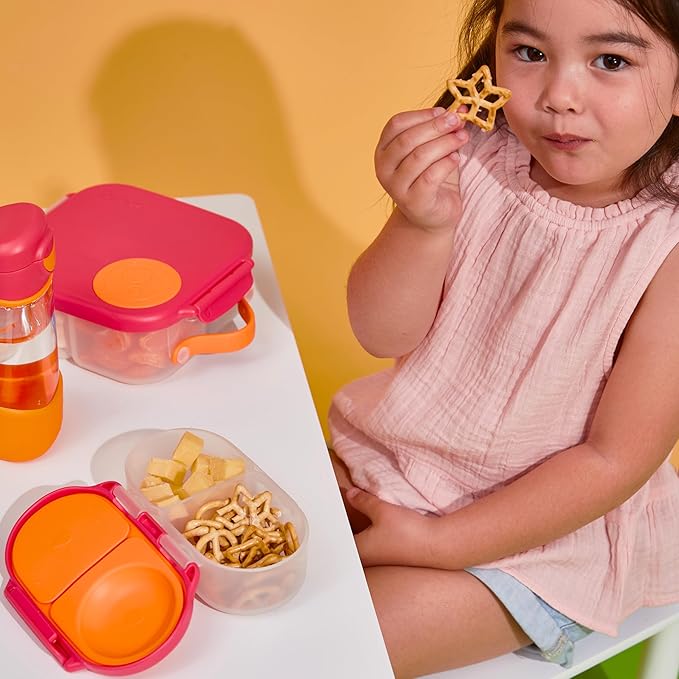 b.box Snack Box Reusable Snack Containers with Lids 2 compartments, Bento Box for kids and toddlers, Leakproof Lunch Box, BPA free and Dishwasher Safe Snack Container (Indigo Rose, 1 3/4 Cup)