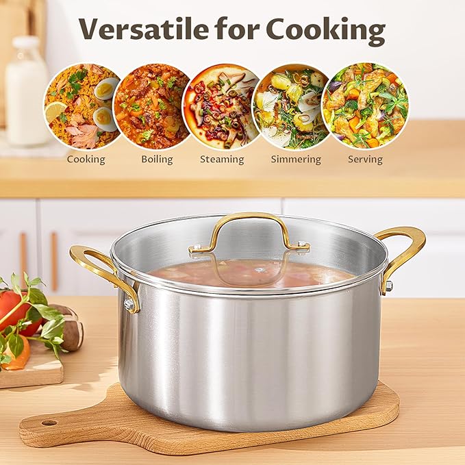 BEZIA 6 Quart Fully-Clad 3-Ply Stainless Steel Stockpot, Soup Pot with Lid, Even Heat Distribution, Cooking Pot with Sturdy Handles, Compatible with All Cooktops, Perfect for Soups & Stews, Silver