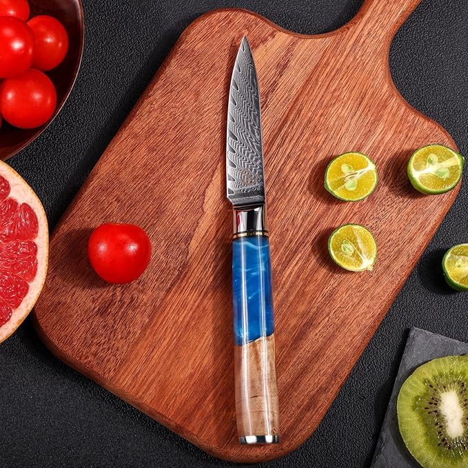 Paring Knife 3.5 Inch Damascus Paring Knife Small Fruit Knife Ultra Sharp Damascus VG10 Core Steel with 66 Layers High Carbon Steel Classical Pattern Blue Handle Unique Gifts with Gift Box