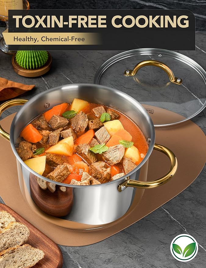 MICHELANGELO Stainless Steel Pots - 6 Qt Induction Pot with Lid, 18/10 Stainless Steel Stock Pot, Non Toxic Cooking Pot, Oven & Dishwasher Safe