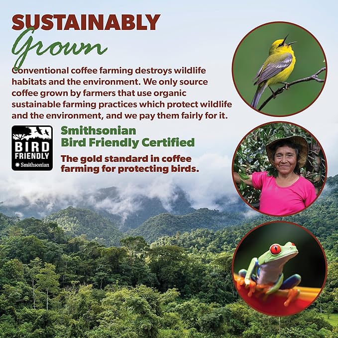 Low Acid Organic Coffee – Whole Bean, Mold-Free & Stomach Friendly by Java Planet, Colombian Single Origin, Medium Dark Roast, Smooth Full Flavored, 5LB Bag